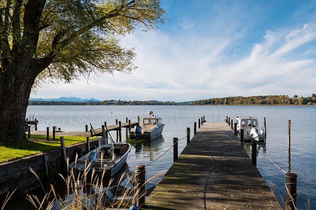 了新一代球 了新一代球