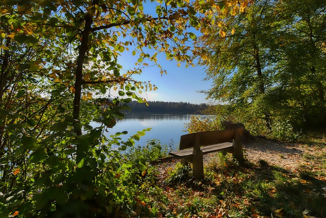 世预赛主场 世预赛主场