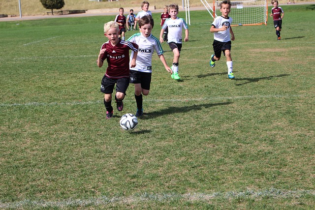 在即将到来 在即将到来