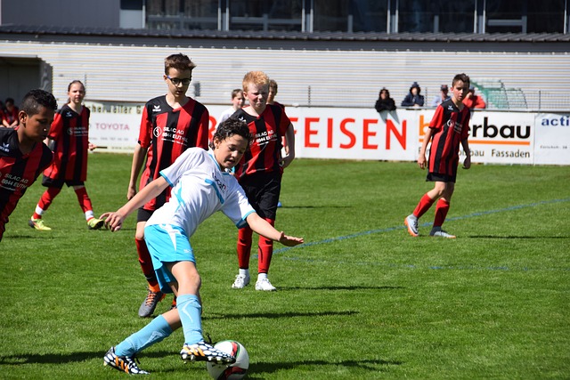 的专业性和 的专业性和