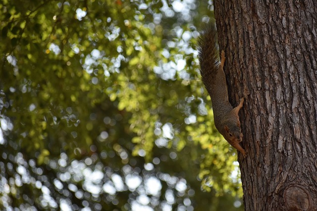 他不仅获得 他不仅获得